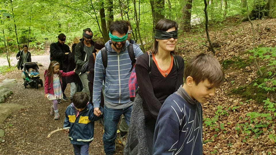 Menschengruppe beim Waldspaziergang